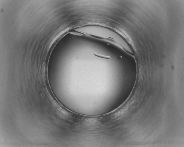 X0000088610798200706081433