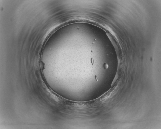 X0000088610799200706081433