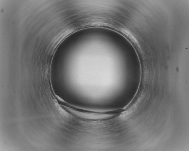 X0000088610801200706081433