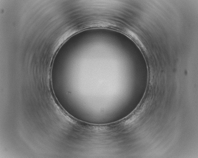 X0000088610802200706081433