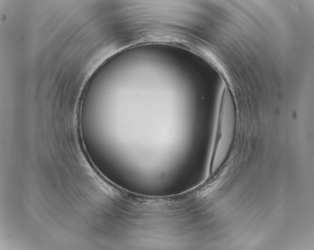 X0000088610803200706081433