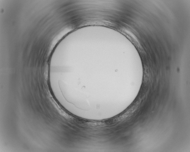 X0000088610804200706081433