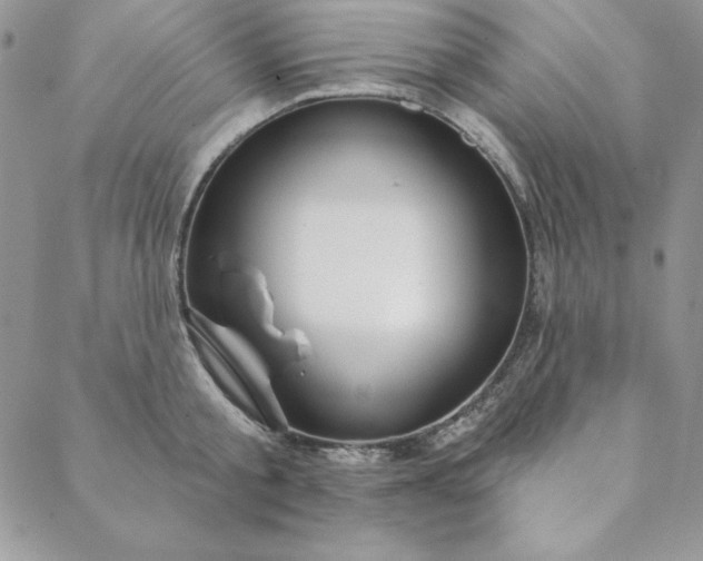 X0000088610805200706081433