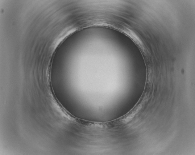 X0000088610806200706081433