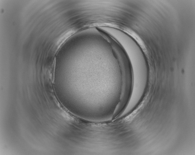 X0000088610809200706081433