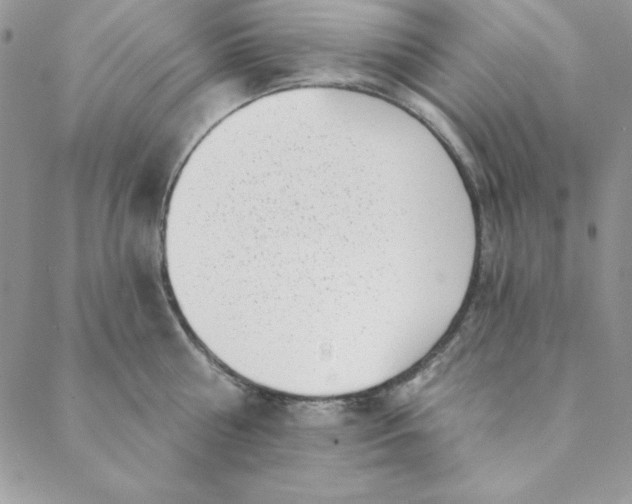 X0000088610810200706081433