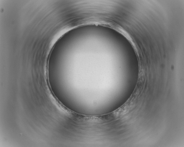 X0000088610811200706081433