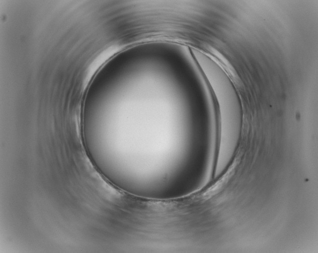 X0000088610812200706081433