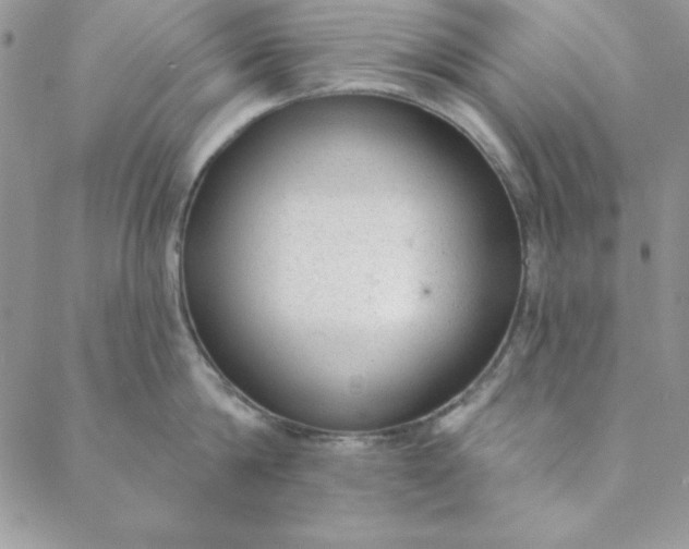 X0000088610814200706081432