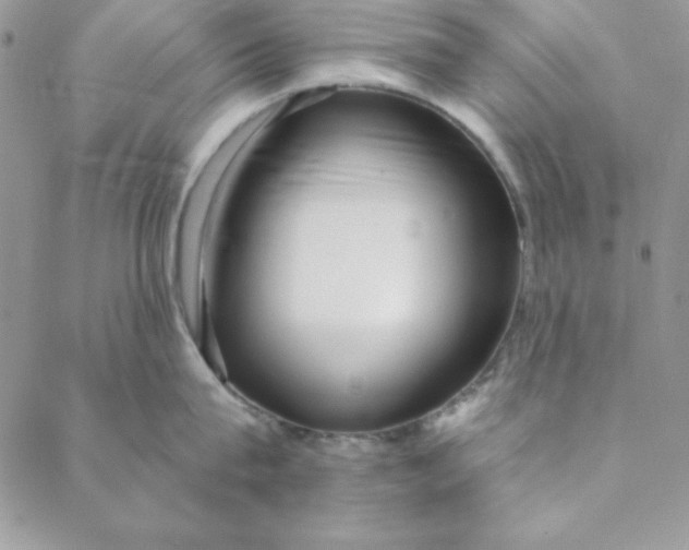 X0000088610815200706081432