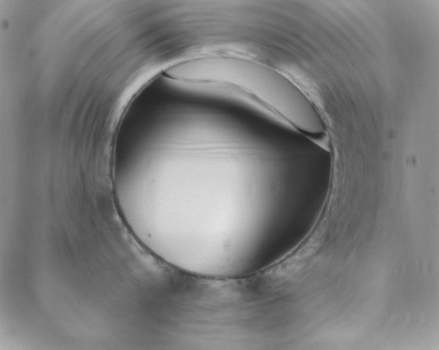 X0000088610816200706081432