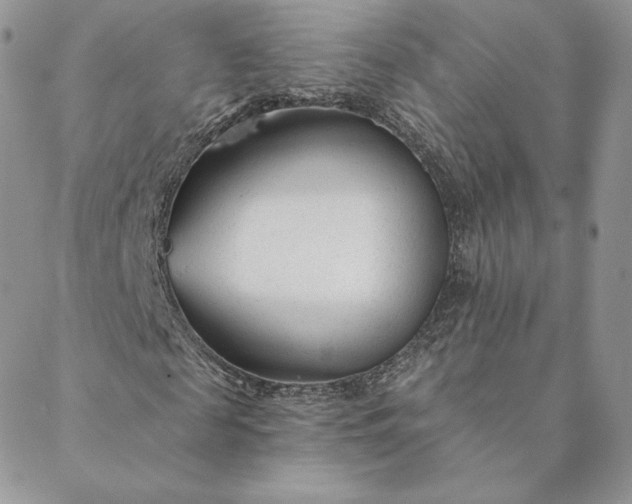 X0000088610817200706081432