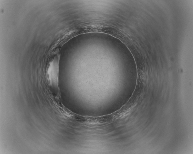 X0000088610818200706081432