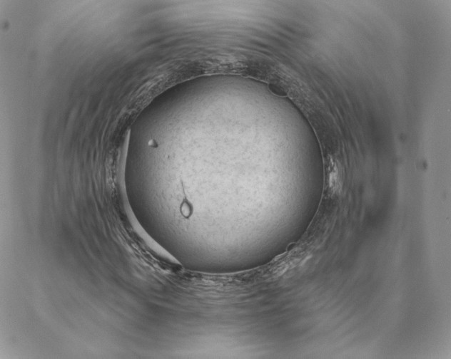 X0000088610819200706081432