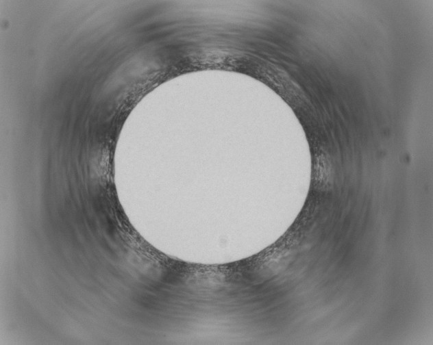 X0000088610820200706081432