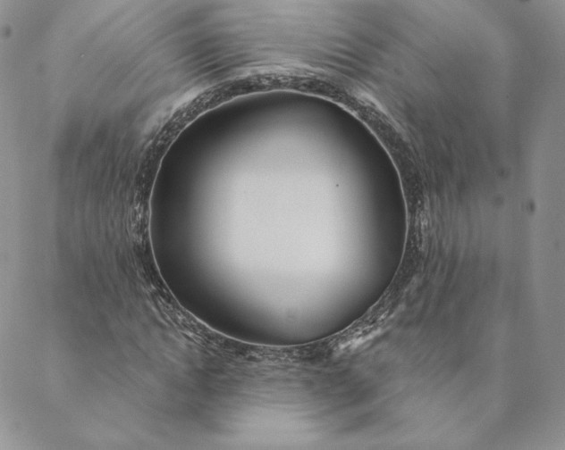 X0000088610822200706081432