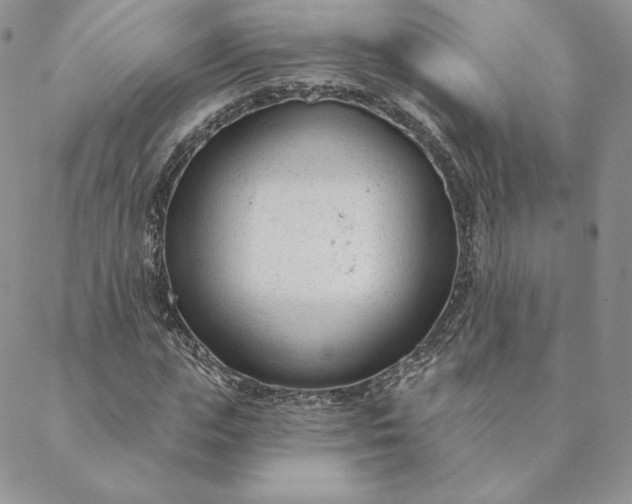 X0000088610823200706081432