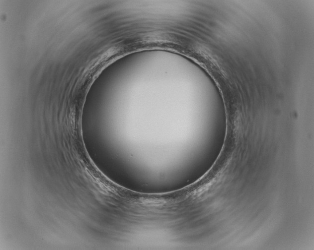 X0000088610825200706081432