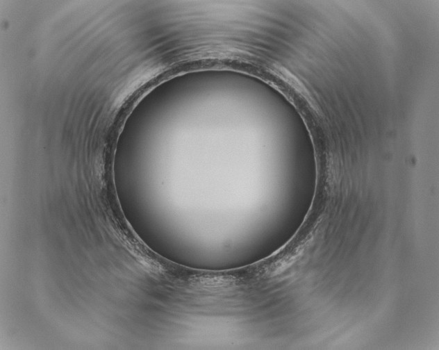 X0000088610826200706081432