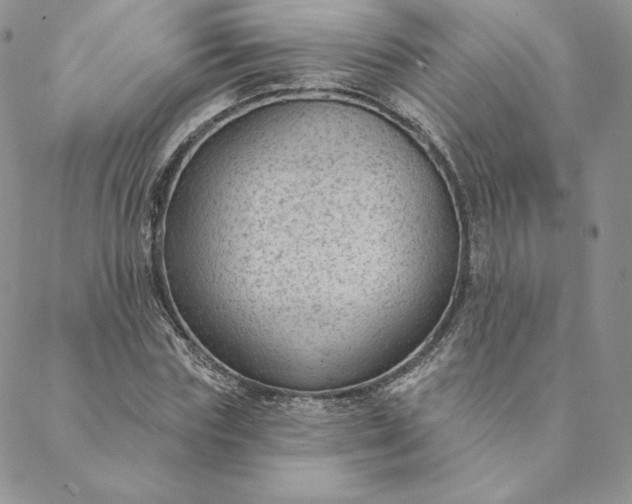 X0000088610827200706081432