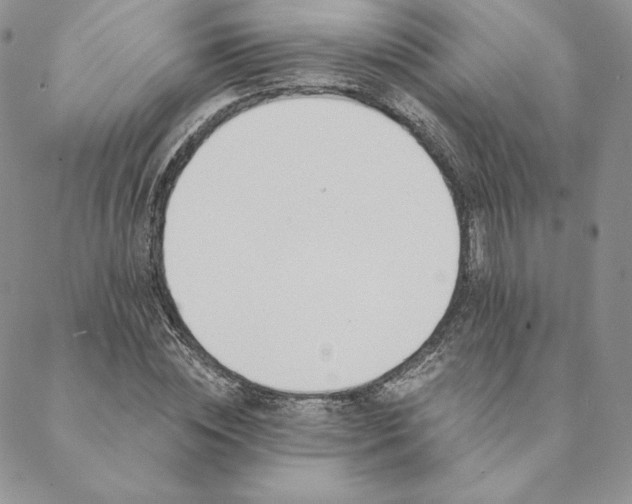 X0000088610828200706081432