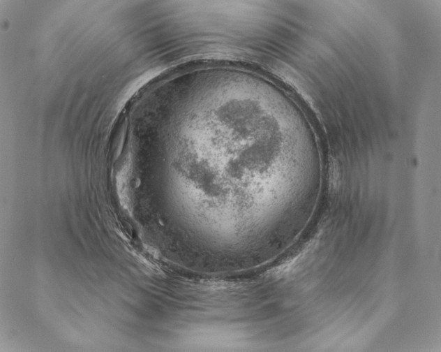 X0000088610829200706081432