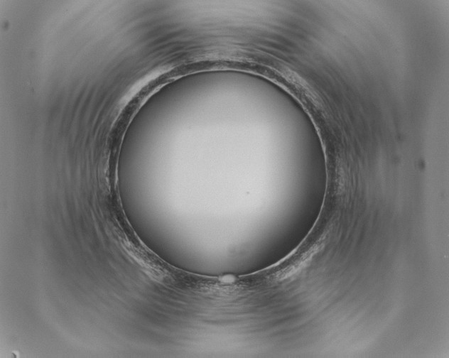 X0000088610830200706081432