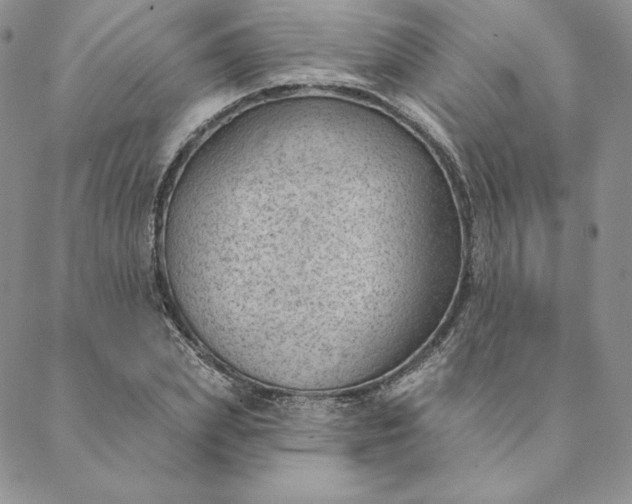 X0000088610831200706081432