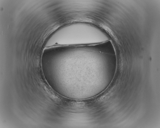 X0000088610833200706081432