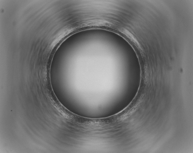 X0000088610834200706081432