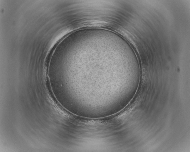 X0000088610835200706081432