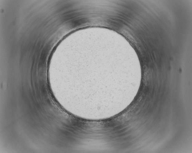 X0000088610836200706081432