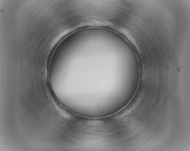 X0000088610837200706081432