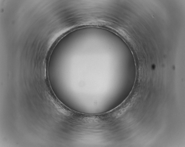 X0000088610838200706081432