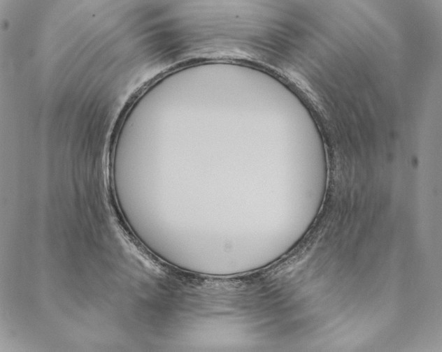 X0000088610840200706081432