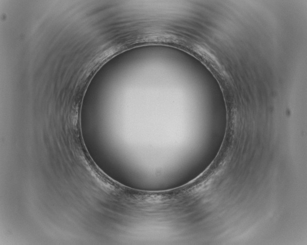 X0000088610841200706081432