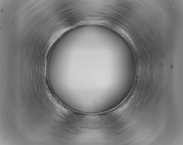 X0000088610844200706081432