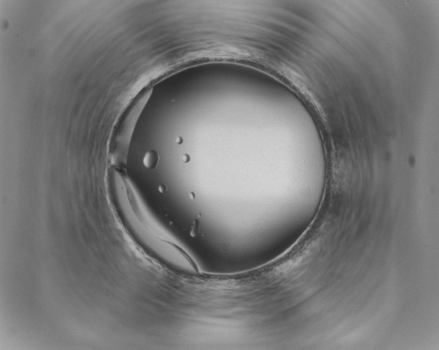 X0000088610845200706081432