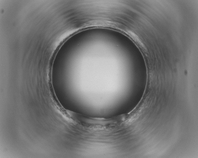 X0000088610846200706081432