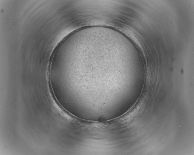 X0000088610847200706081432