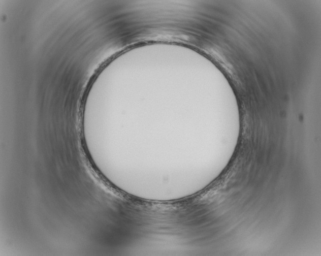 X0000088610848200706081432