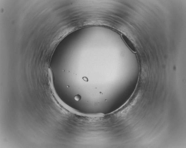 X0000088610849200706081432