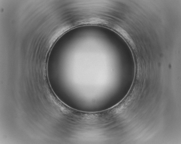 X0000088610850200706081432