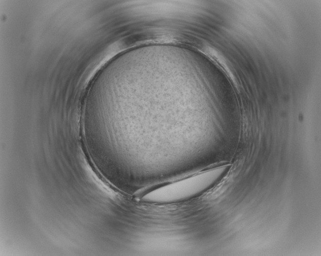 X0000088610851200706081432