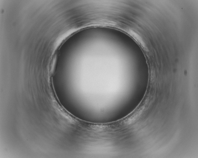 X0000088610854200706081432