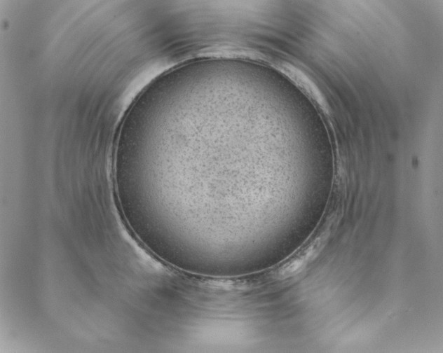 X0000088610855200706081432