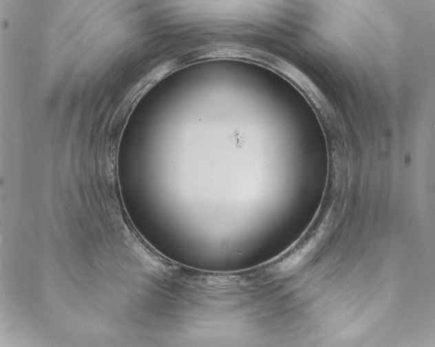 X0000088610857200706081432