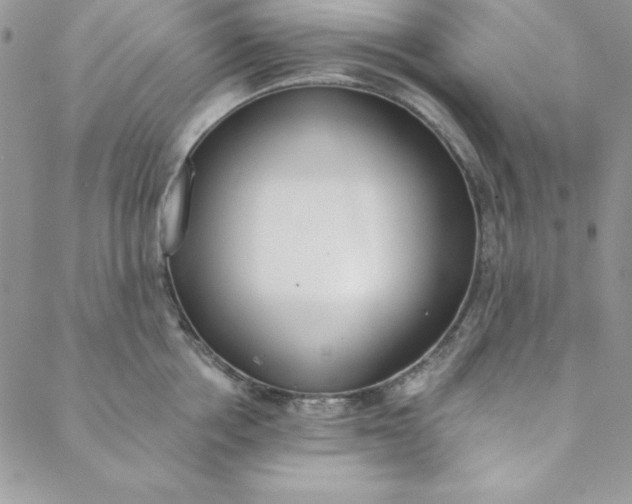 X0000088610858200706081432