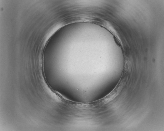 X0000088610859200706081432