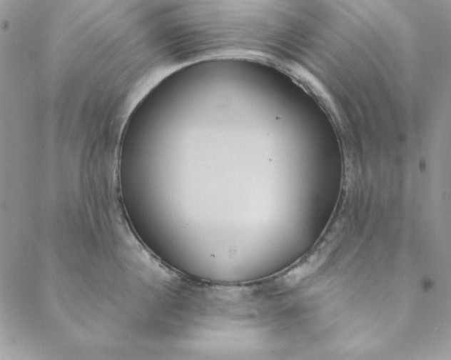 X0000088610860200706081432